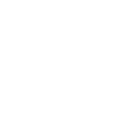 ce logo Lebanon